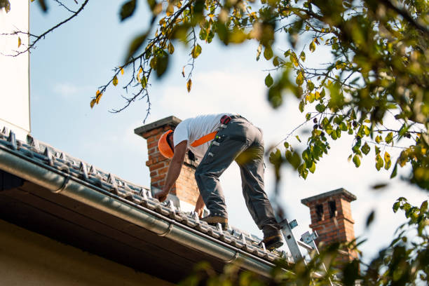 Roof Gutter Cleaning in New Bremen, OH